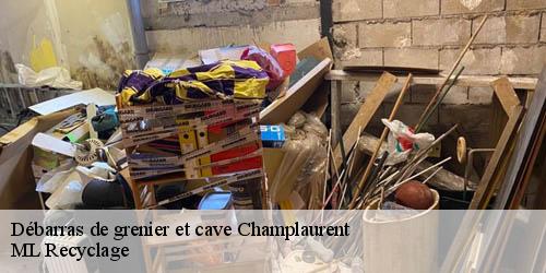 Débarras de grenier et cave  champlaurent-73390 ML Recyclage 