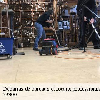 Débarras de bureaux et locaux professionnels hermillon-73300 ML Recyclage