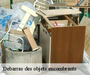 Debarras des objets encombrants la-motte-en-bauges-73340 ML Recyclage