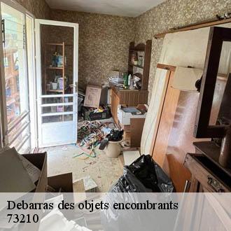 Debarras des objets encombrants   tessens-73210 ML Recyclage 